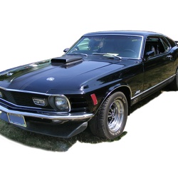cars